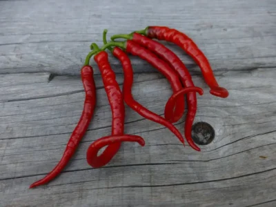 AciKil2 Acı Kıl hot peppers on wooden background