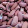 Long Bean Seeds, Arşın