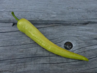 Bagci Carliston Sweet Pepper Seeds, Bağcı Çarliston