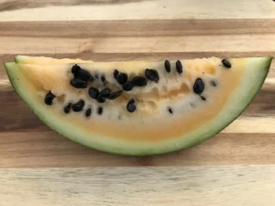 CEOT2 Watermelon Seeds, Çekirdeği Oyalı (Orange Flesh)