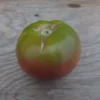 Carbon Tomato Seeds, Carbon
