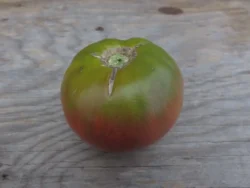 Carbon Tomato Seeds, Carbon