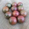 Cluster of ripe Chocolate Cherry tomatoes on burlap bag