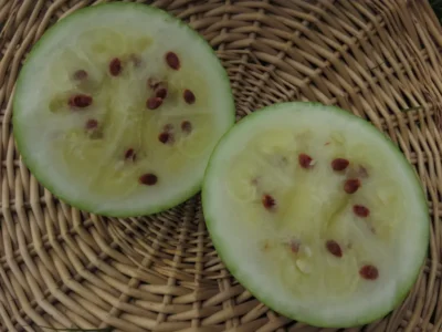 Et Sari Tohum Al1 Two halved yellow watermelons on basket