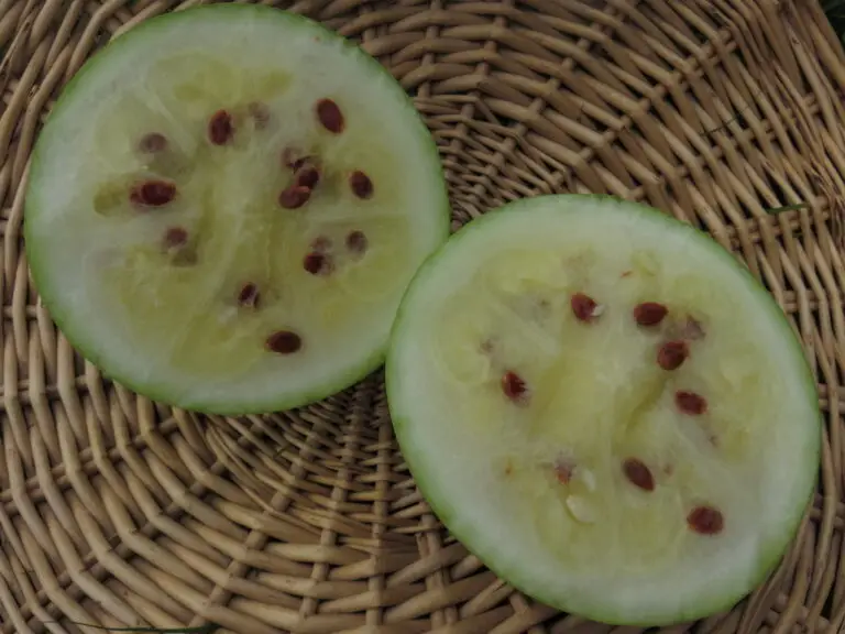 Two halved yellow watermelons on basket