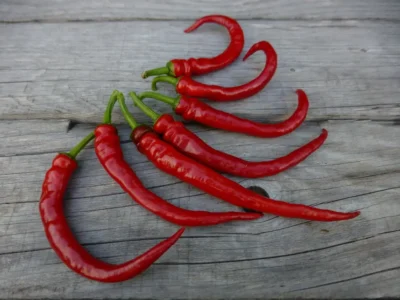 Ilica256 Mature Aci Ilica 256 hot peppers on a wooden surface.