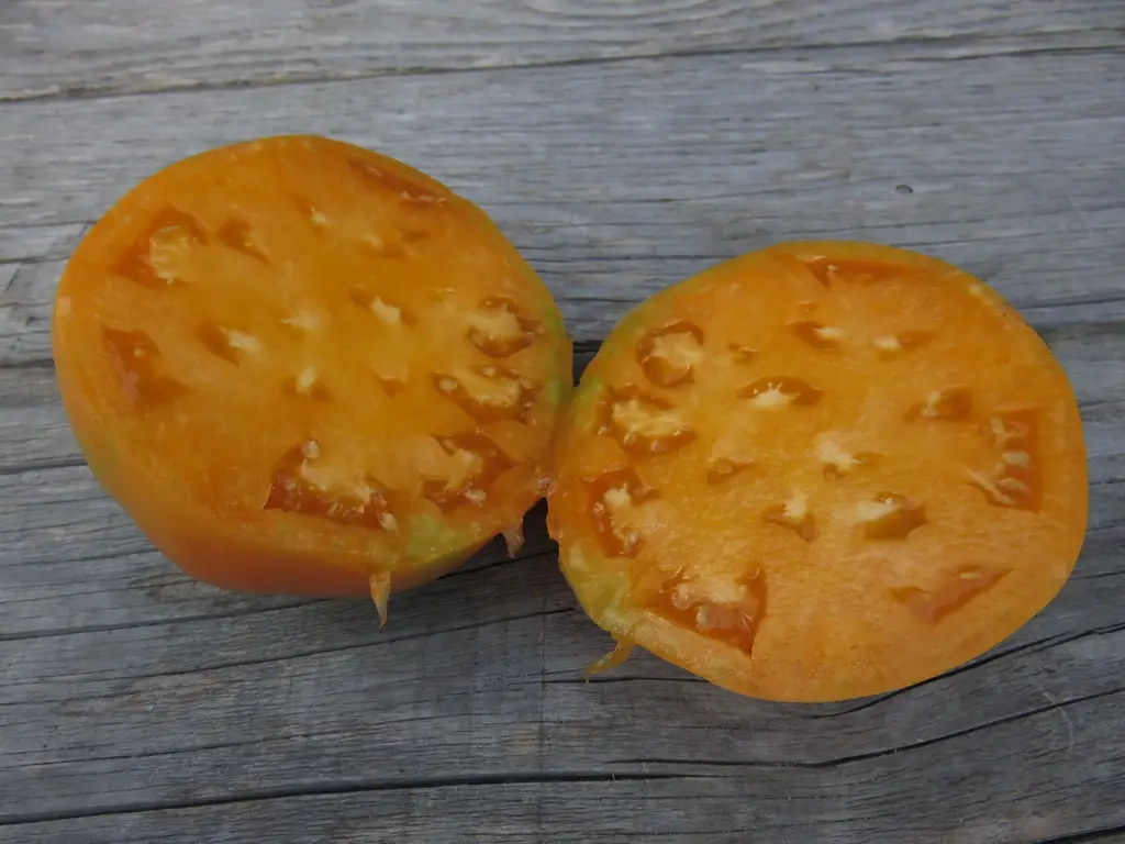 Kellogg Tomato Seeds, Homer Fike's Yellow Oxheart