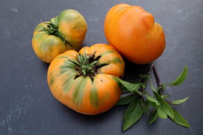 Kellogg2 Tomato Seeds, Kellogg's Breakfast