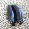 Two shiny, dark Kemer Turkish eggplants in basket