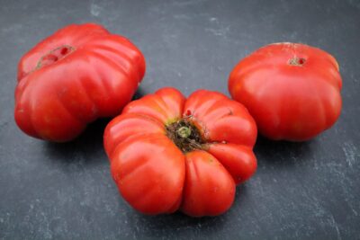 Kivircik Yayla3 Tomato Seeds, Kıvırcık Yayla