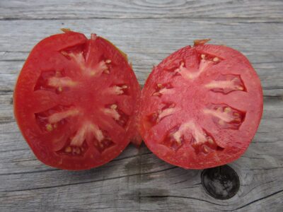 KopekHayasi3 Tomato Seeds, Köpek Hayası