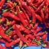 Vibrant red hot Pul Biberlik Maras hot Turkish peppers in basket