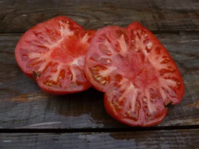 Purple Bozdag-Sliced Tomato Seeds, Bozdağ Purple