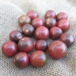 Rosella Cherry Tomato