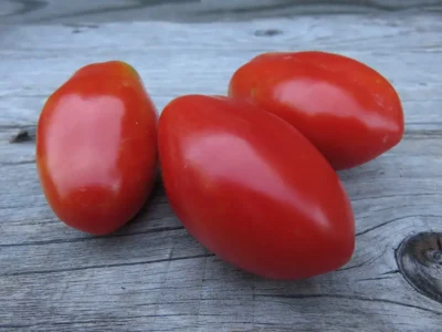 SMLN2 Three ripe San Marzano tomatoes photographed on wooden surface.