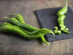 Fresh green Sera Demre hot pepper on slate