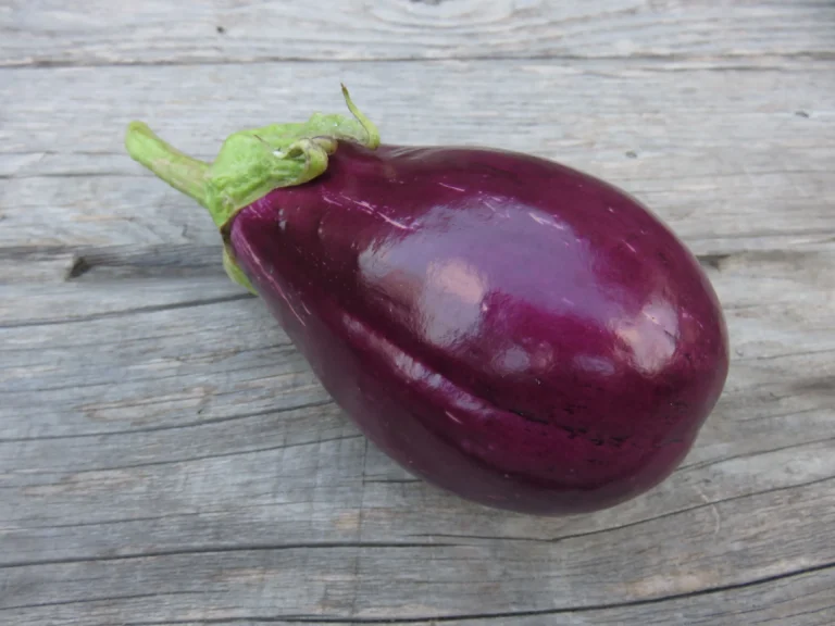 Eggplant Seeds, Topak Adana Shiny purple Topak Adana eggplant on wood