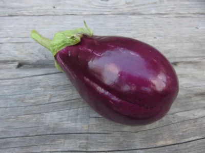 Topak_Adana_eggplant Shiny purple Topak Adana eggplant on wood