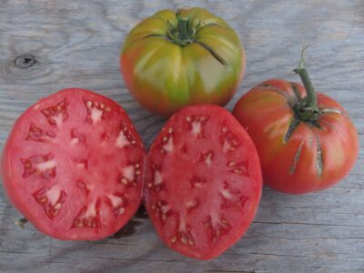 Turkey2 Tomato Seeds, Turkey