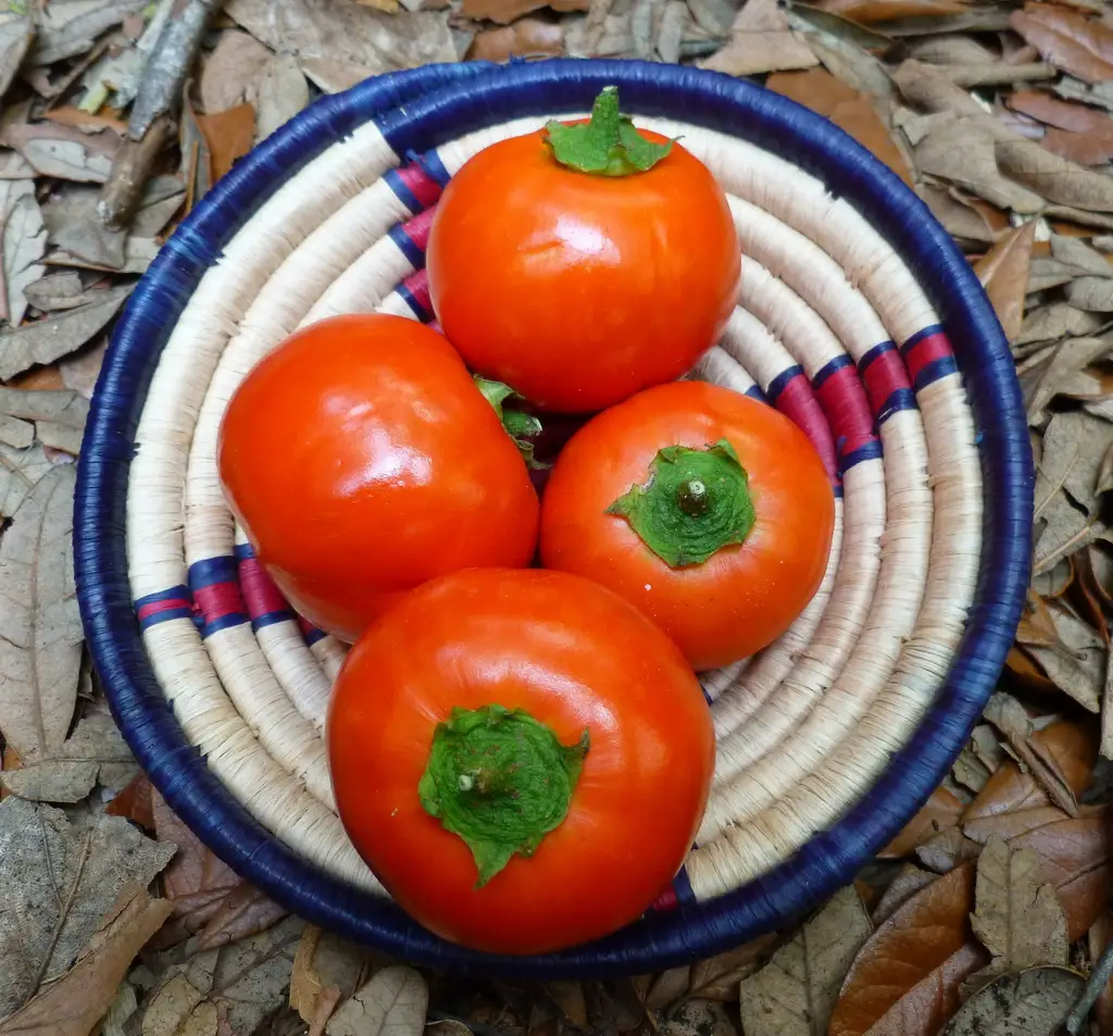 Turkish Orange
