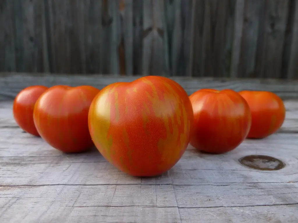 Turkish Striped Monastery