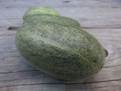 Badem1 Badem acur melon photographed on an old wooden cabinet.
