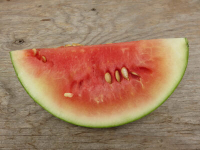 YeniDunya2 Watermelon Seeds, Yeni Dünya