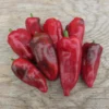 Emcelli hot pepper on wooden surface