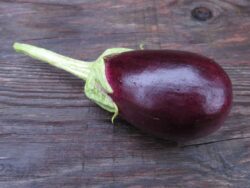 Antep Dolmalik eggplant photographed on wooden surface
