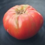 Tomato Seeds, Cindy's West Virginia