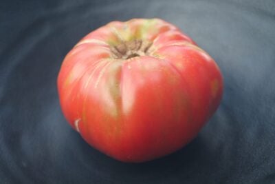 Cindys_WV_1 Tomato Seeds, Cindy's West Virginia