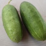 Cucumber Seeds, Kilis