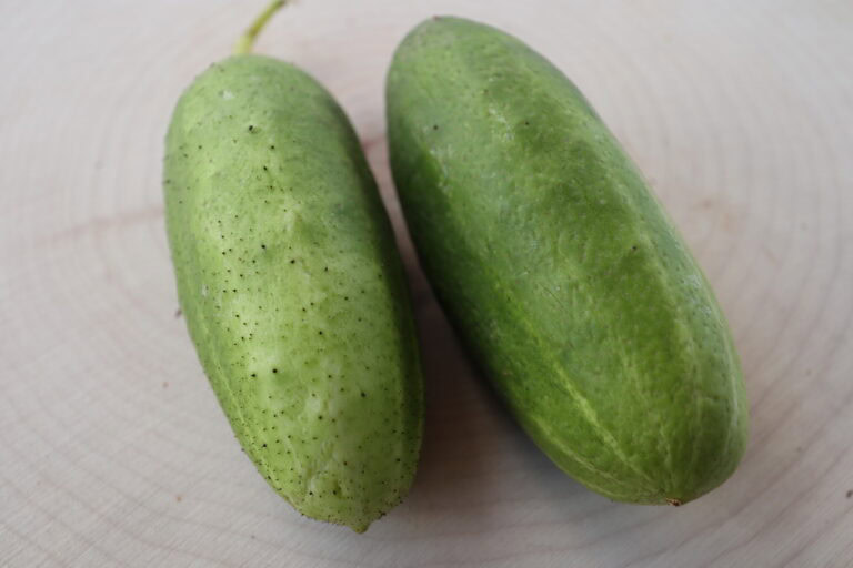 Two Kilis cucumbers are photographed on a wood slice.