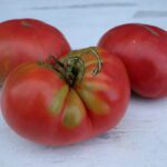 Tomato Seeds, Ruby Red