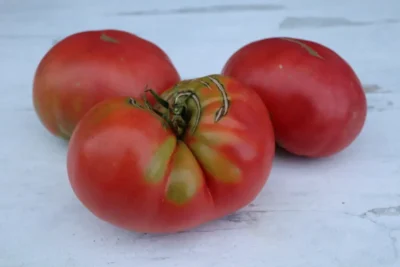 Ruby Red Ruby Red pink tomato
