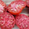 Tomato Seeds, Aker's West Virginia