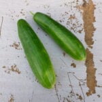 Two whole Meram cucumbers photographed on vintage wood background.