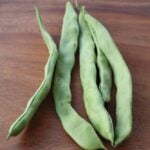 Green Bean Seeds, Şenberber