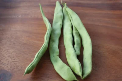 Senberber Green Bean Seeds, Şenberber