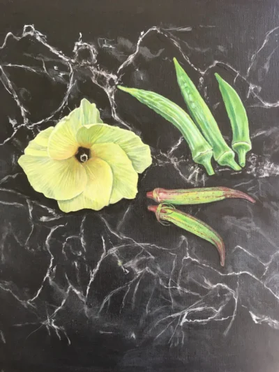 Okra Thumbnail Okra flower and pods