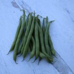 Green Bean Seeds, Sazova Bush