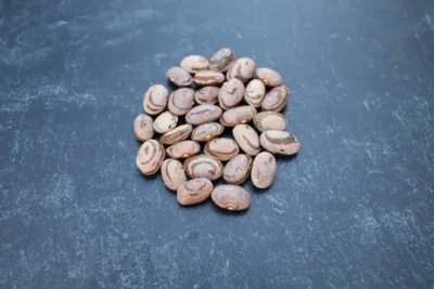 Ciftehan Green Bean Seeds, Çiftehan Ayse Kadın