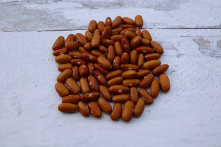Brown Hanımeli wax bean seeds on white surface