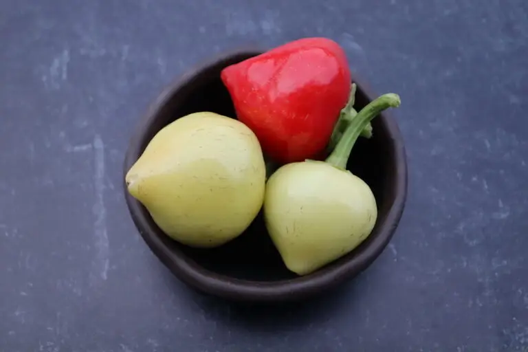 Three Biberiye hot pepper pods in bowl