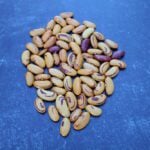 Tiger's Eye Dry Bean
