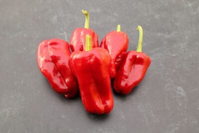 Abhaz Five Abhaz hot peppers resting on photography background with granite pattern.