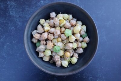 Aunt Molly1 Ground Cherry Seeds, Aunt Molly's