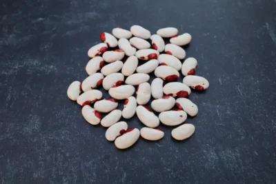 Bobo Dry Bean Seeds, Kırmızı Göbekli Bobo