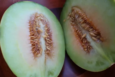 Melon Seeds, Pamukova
