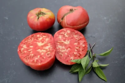 Vinson Watts Tomato Seeds, Vinson Watts
